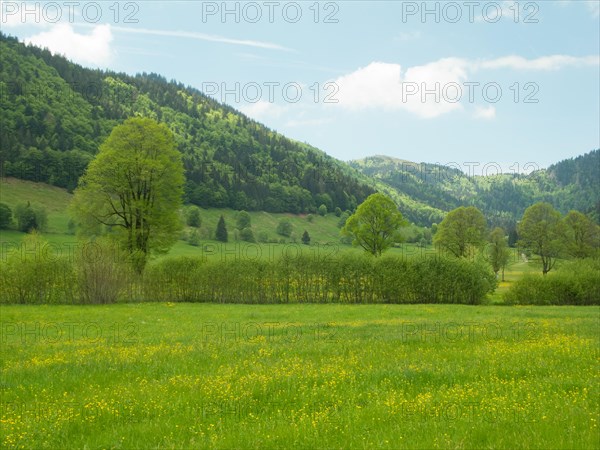 Valley of the Menzenschwander Alb