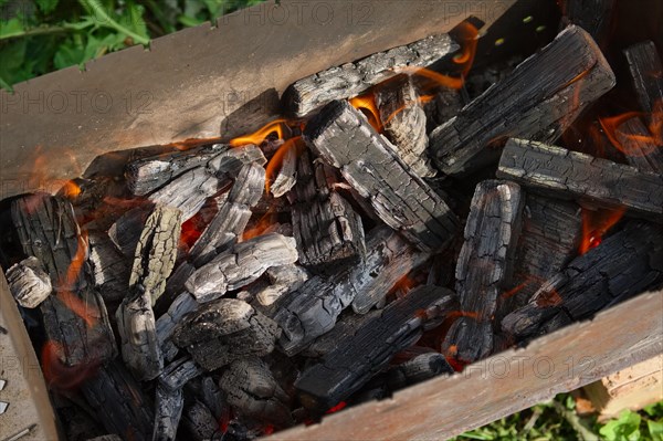 Process of cooking shashlik from pickled meat outdoor