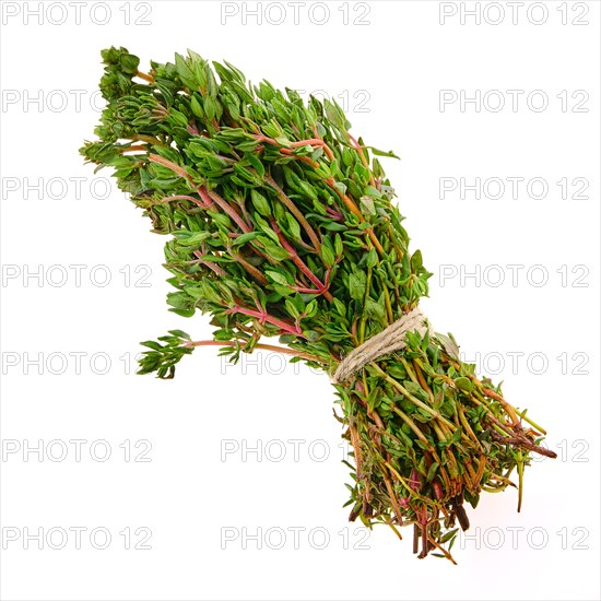 Fresh thyme bunch isolated on white