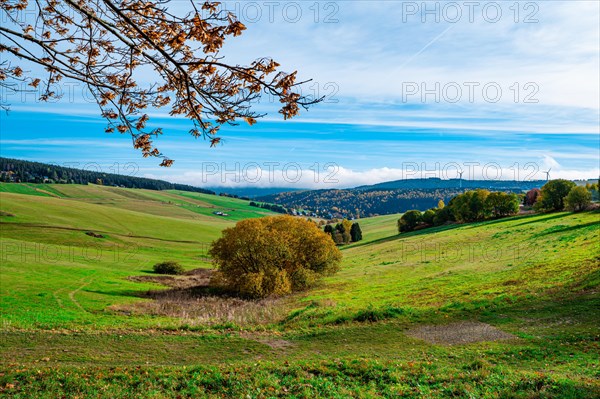 A meadow at the foot of the Fichtelberg with a view into the valley in autumn