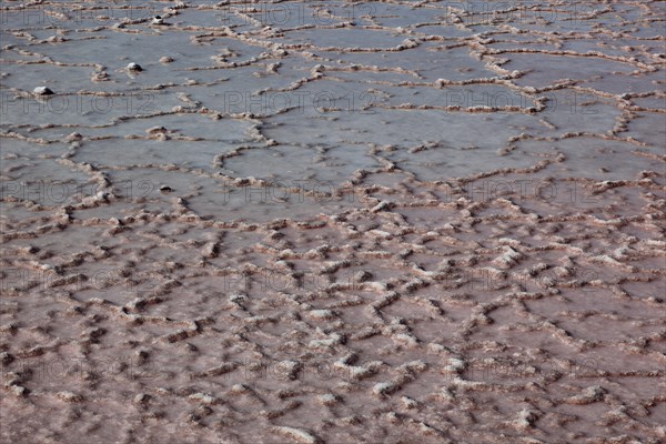 The Salinas de Janubio