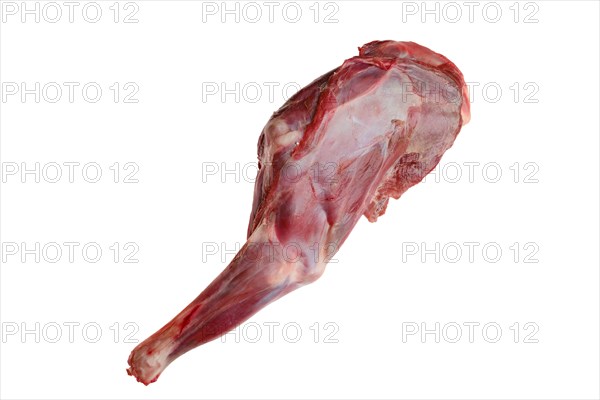 Raw doe shoulder chuck isolated on white