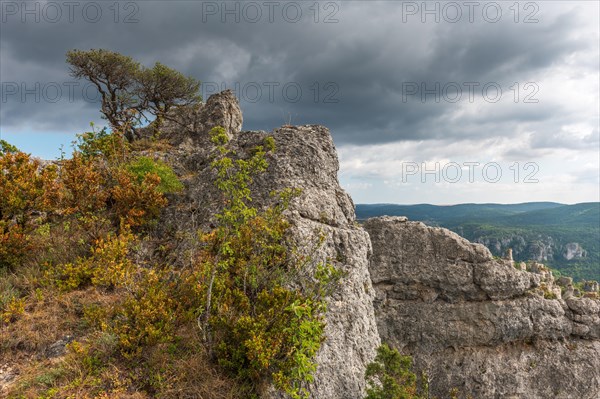 The city of stones