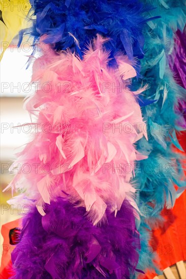 Beautiful bird feathers for decorative purposes