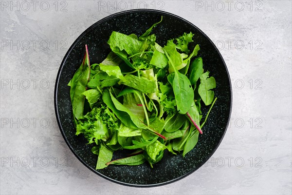 Top view of plate with assortment of fresh salad leaves