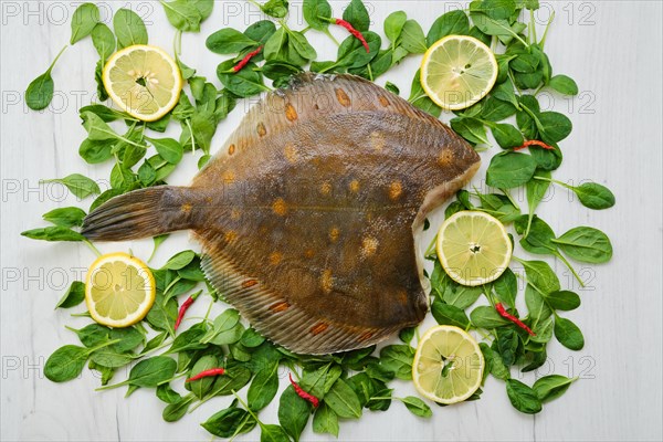 Fresh flounder without head on wooden background