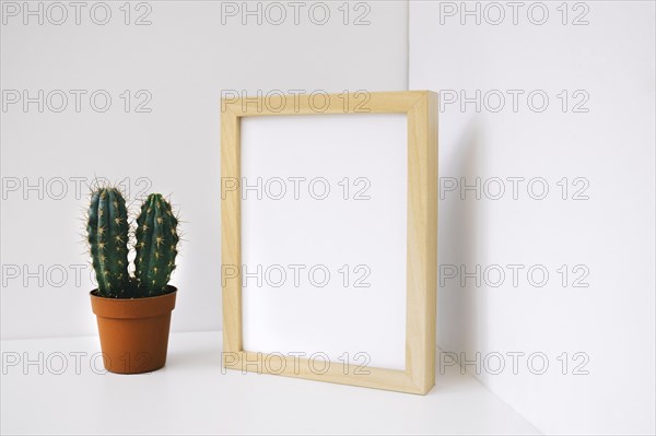 Frame cactus corner