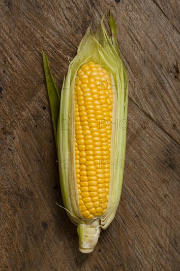 Top view corn with wooden background. Resolution and high quality beautiful photo