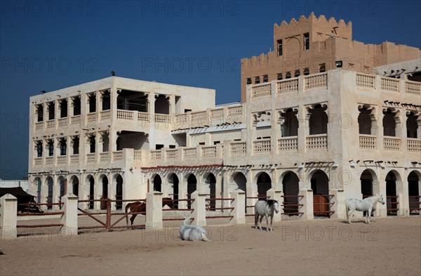 Arabian horse breeding stables in Al Jasra