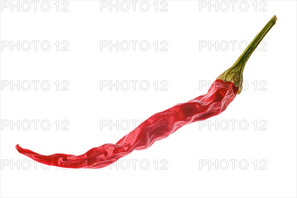 Dry whole chilli pepper isolated on white background