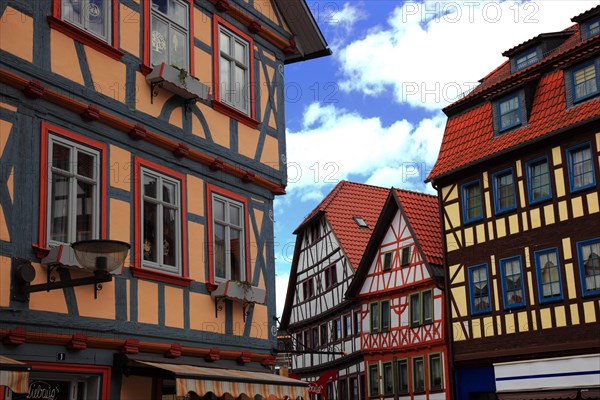 Half-timbered houses in the old town