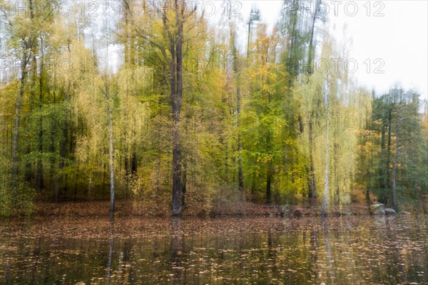 Autumnal coloured trees at a pond