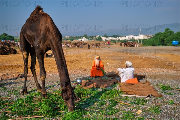 Pushkar