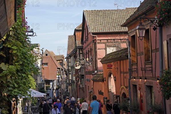 Colourful half-timbered houses in the historic old town of Riquewihr