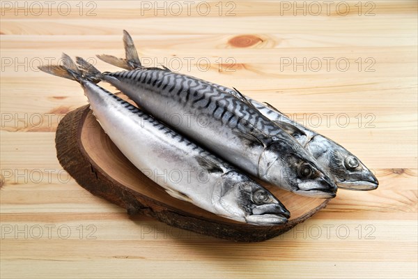 Frozen mackerel on wooden table