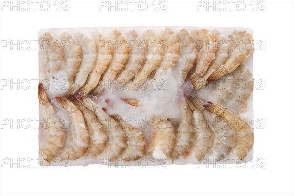 Raw tiger shrimp frozen in large ice cube isolated on white background
