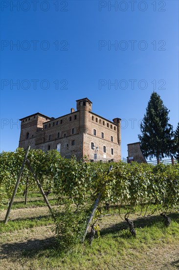 Castle of Grinzane Cavour