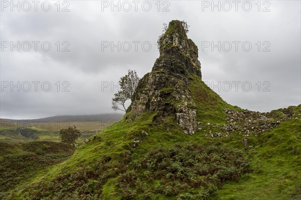 Fairy Glen