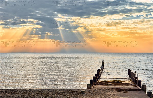 Groynes in the morning light