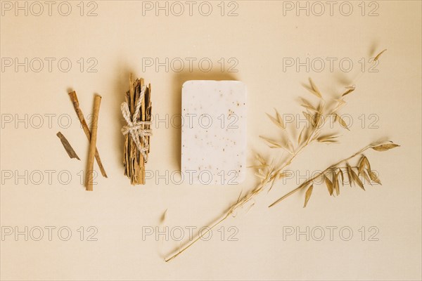 Top view organic soap bar with decorative plants around. Resolution and high quality beautiful photo