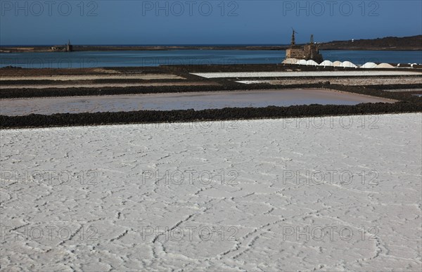 The Salinas de Janubio