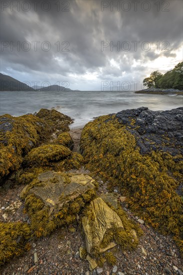 Evening atmosphere at Loch Linnhe