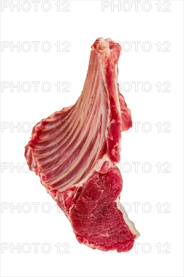 Fresh raw rack of lamb isolated on white background