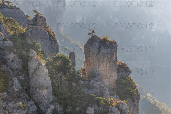 Landscape of a wild and preserved valley