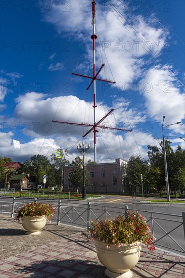 Giant radio antenna