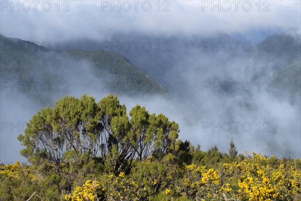 Paul da Serra plateau