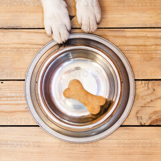 Dog food bowl with bone