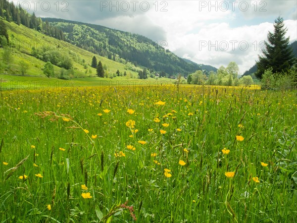 Valley of the Menzenschwander Alb