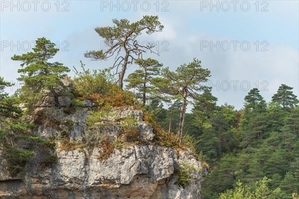 Wild landscape in Cevennes National Park