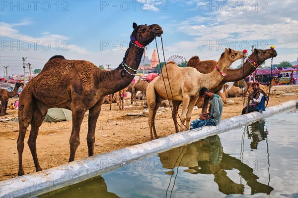 Pushkar