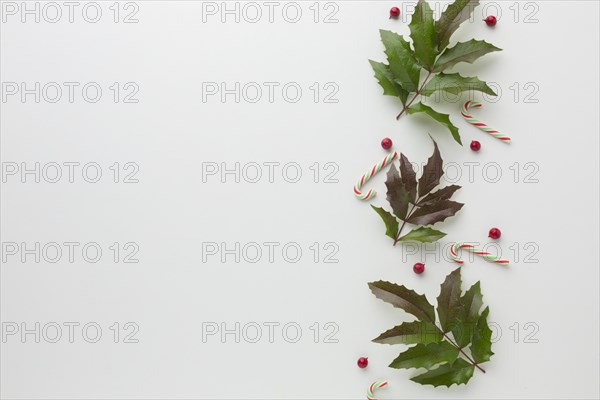Flat lay mistletoe with candy cane