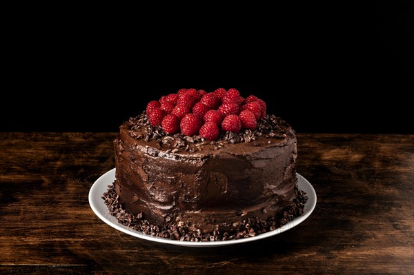Front view delicious chocolate cake concept