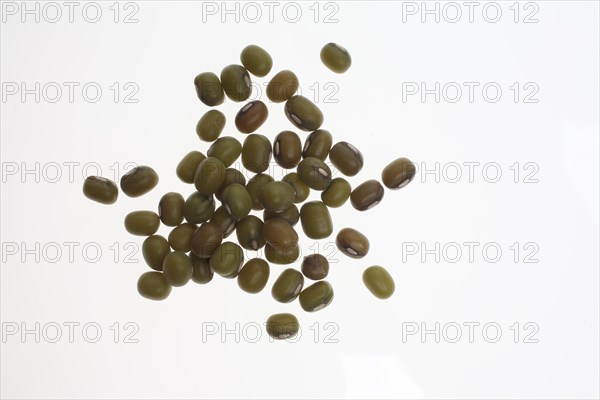 Mung bean