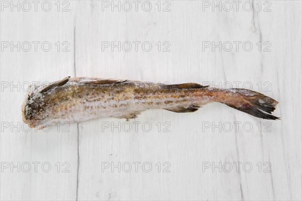 Frozen raw pollock carcass on wooden table