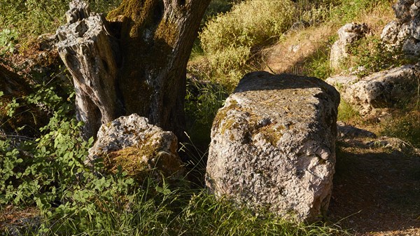 Archaeological site