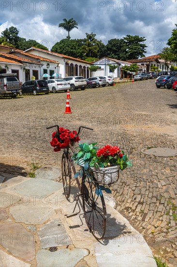 Decorated bicycle