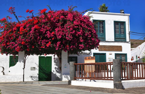 Plaza de la Constitution