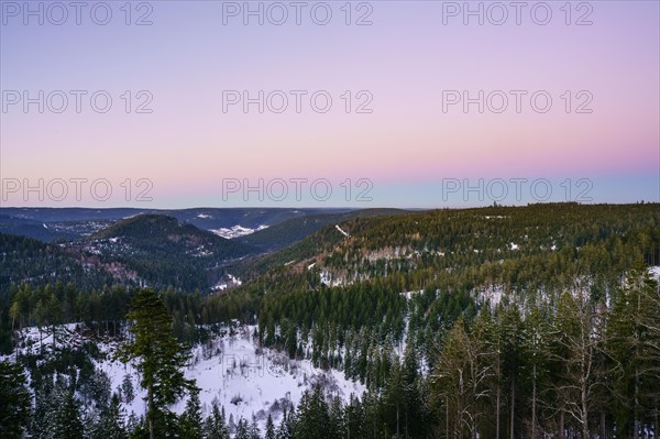 View from the Ellbachseeblick viewing platform