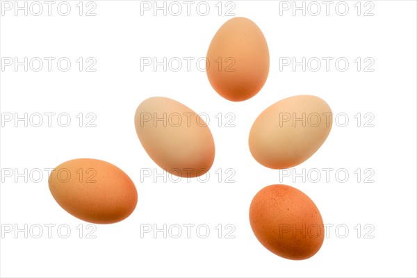 Fresh country eggs isolated on white background