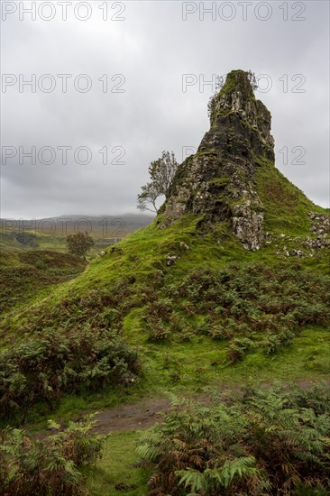 Fairy Glen