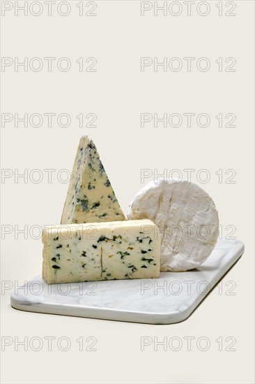 Various types of blue mold cheese