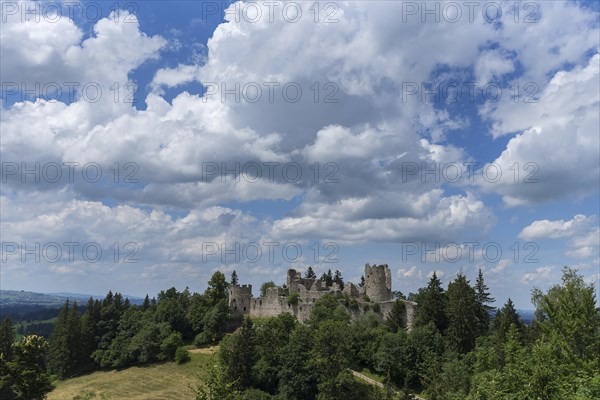 Hohenfreyberg castle ruins