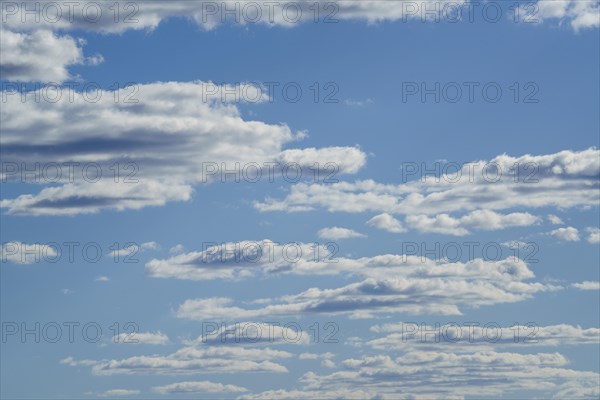 White clouds float in the blue sky backdrop. Zambia