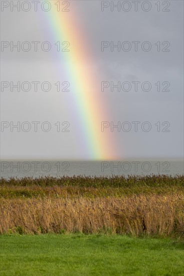 Rainbow over the Wadden Sea National Park