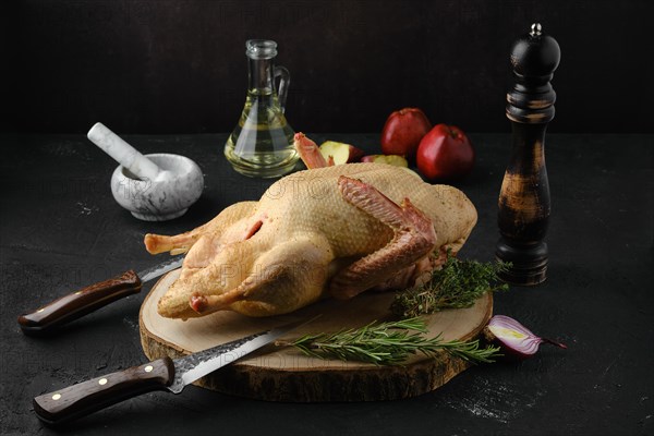 Raw whole country duck on wooden cutting board