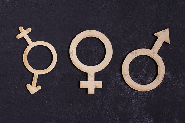 Gender equality concept icon